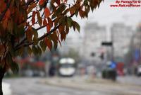 Imagine atasata: IMG_0062.JPG